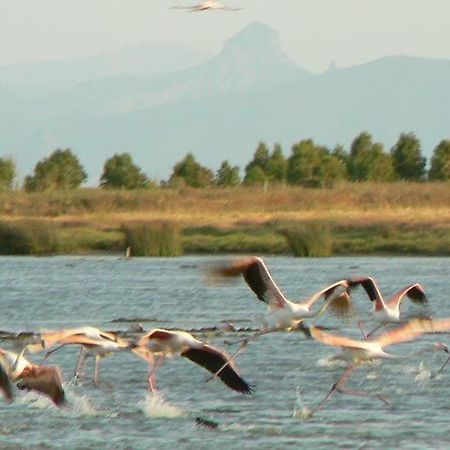 Вілла Agriturismo Bachile Bertula Ріола-Сардо Екстер'єр фото