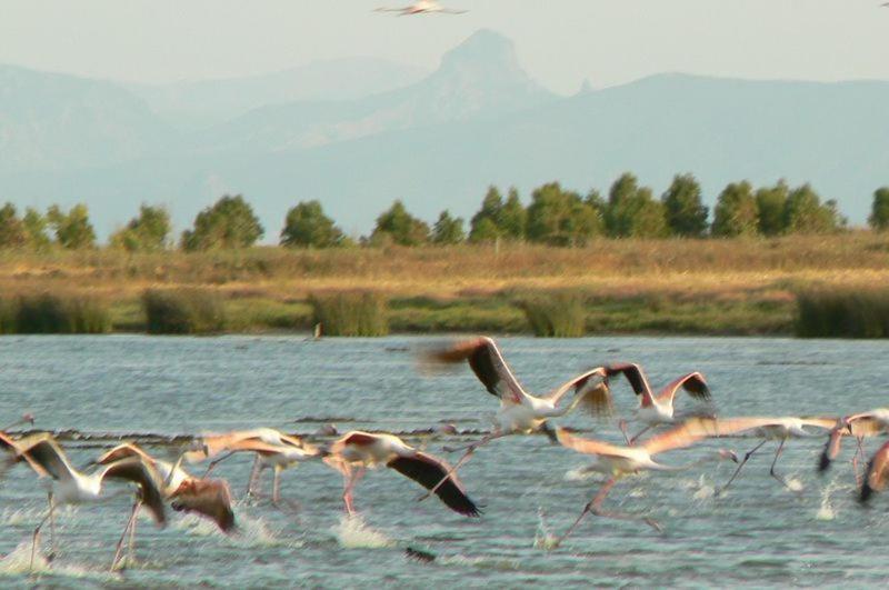 Вілла Agriturismo Bachile Bertula Ріола-Сардо Екстер'єр фото