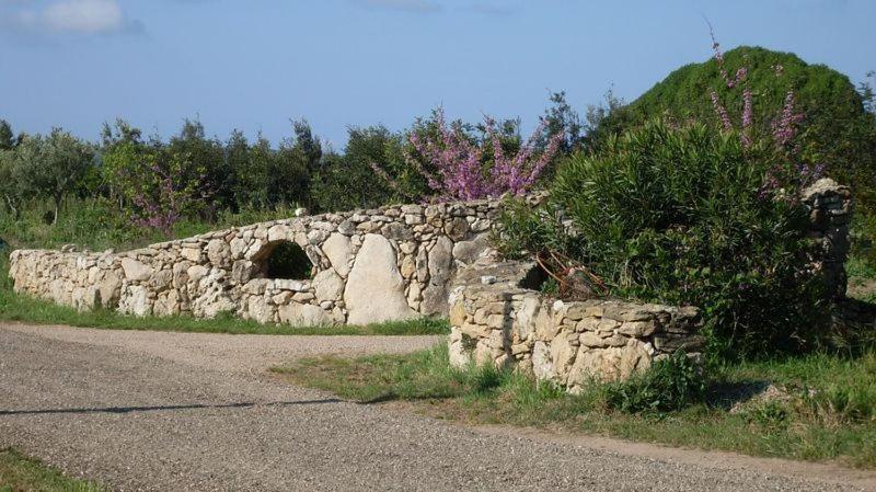 Вілла Agriturismo Bachile Bertula Ріола-Сардо Екстер'єр фото